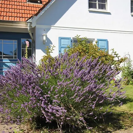 Apartmán Abels Strandkoje Wustrow (Fischland)